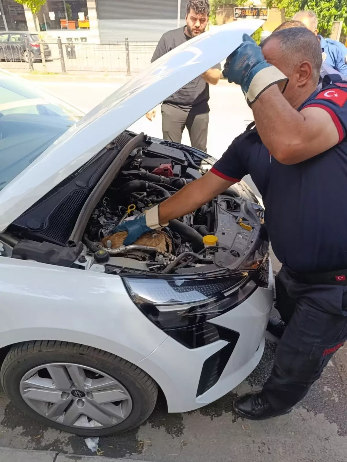 Muş'ta Sıkışan Yavru Kedi İtfaiye Ekipleri Tarafından Kurtarıldı