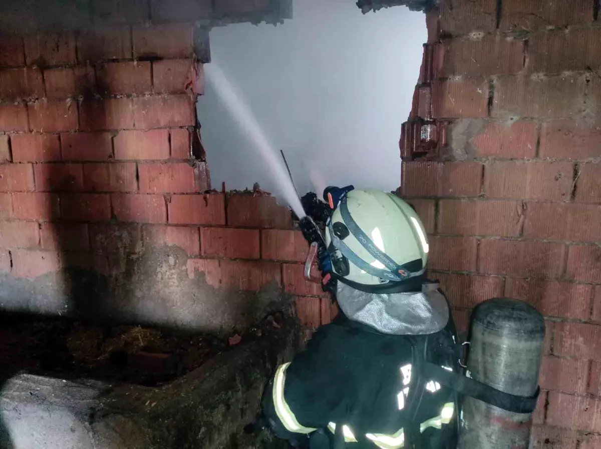 Batman'da Yangın: 10 Ton Saman ve 15 Tavuk Telef Oldu