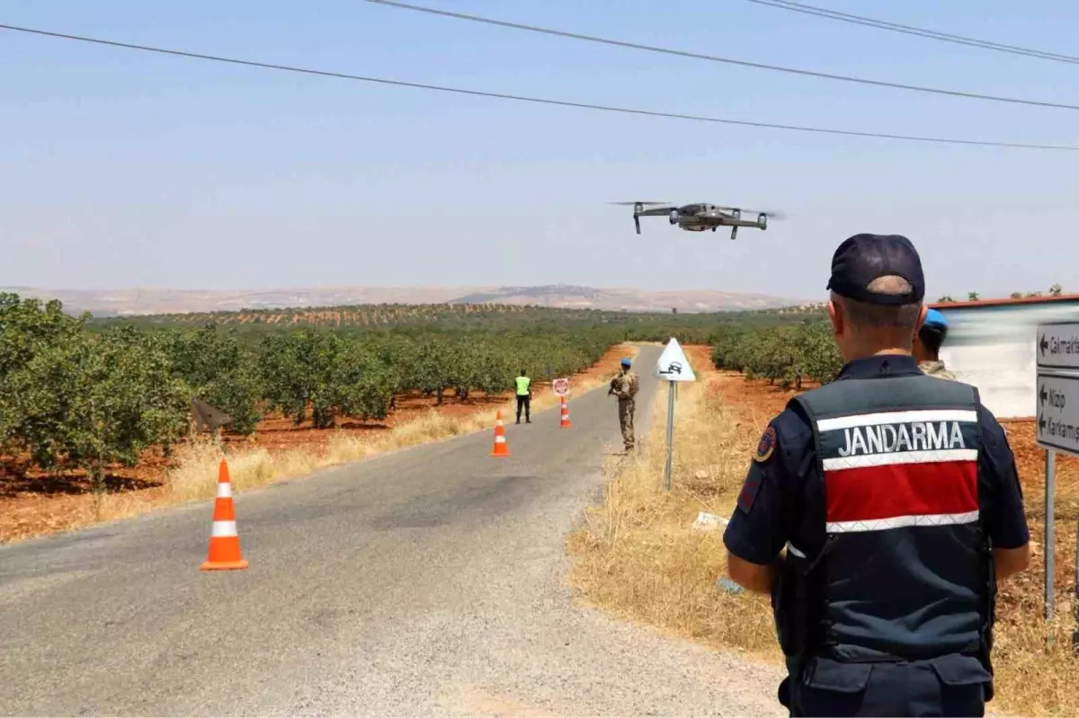 Gaziantep'te Antep Fıstığı Hasadında Hırsızlık Önlemleri Artırıldı