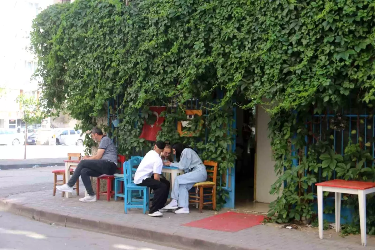 Sivas'ta Sarmaşıklarla Kaplı Kafe Göz Dolduruyor