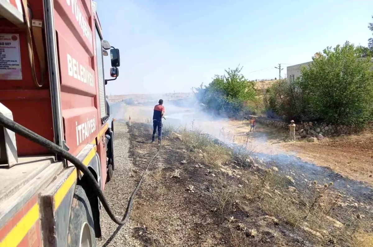Mardin'in Midyat ilçesinde orman yangınına müdahale sürüyor