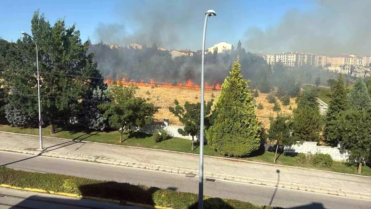 Eskişehir'deki Park Yangını Kontrol Altına Alındı