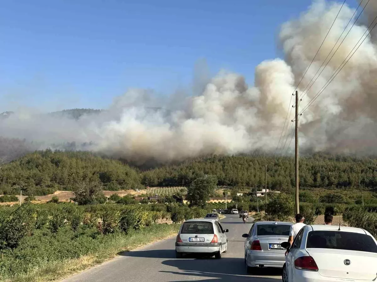 Sakarya'da Orman Yangını: Yangın Söndürme Helikopteri Sevk Edildi