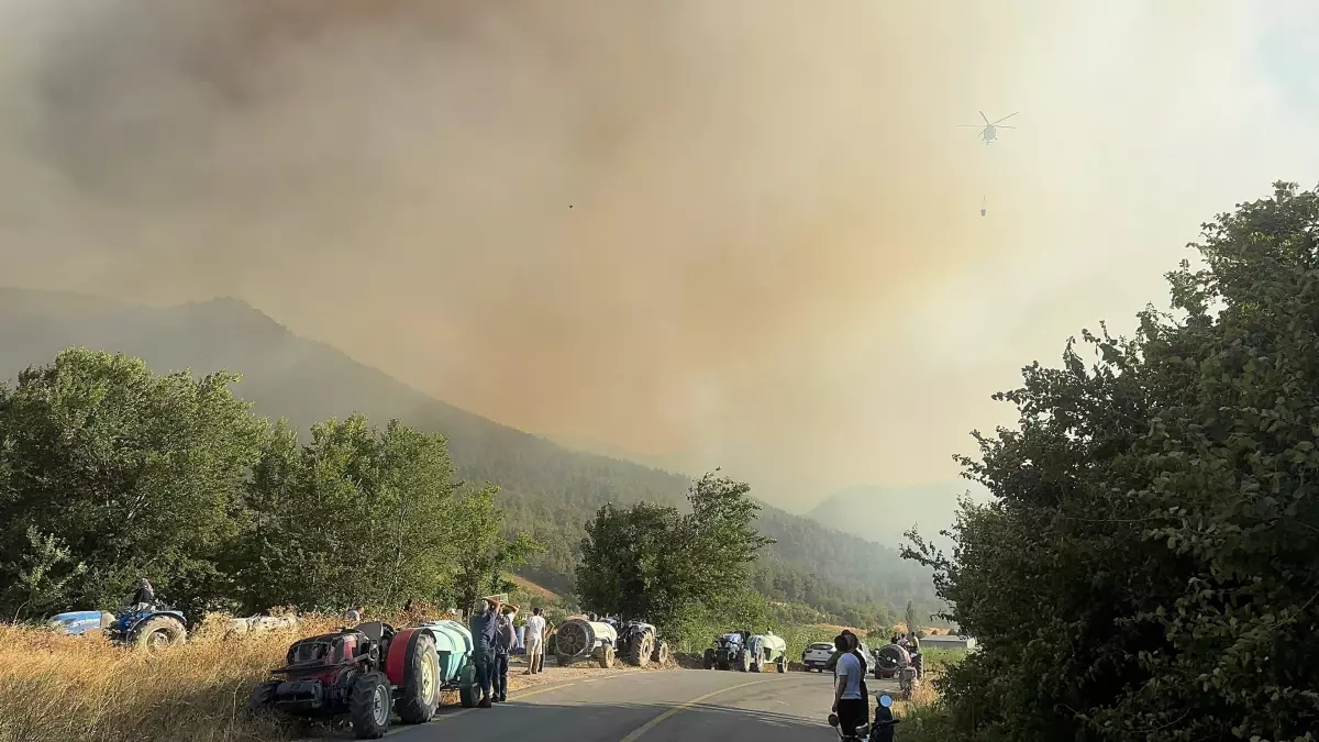 Geyve'de Orman Yangını: Havadan ve Karadan Müdahale Devam Ediyor