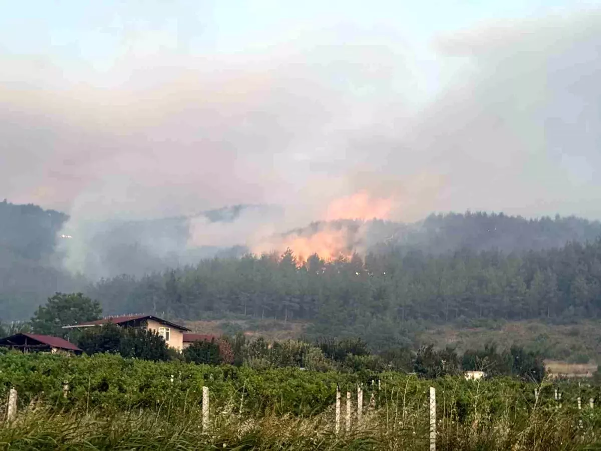 Sakarya'da Orman Yangını: 8 Helikopter ve 5 Uçakla Müdahale