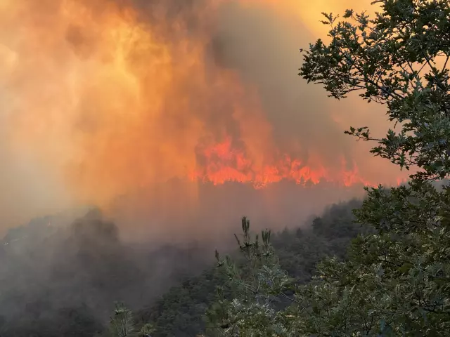 The size of the forest fire in Sakarya was captured from a passenger plane