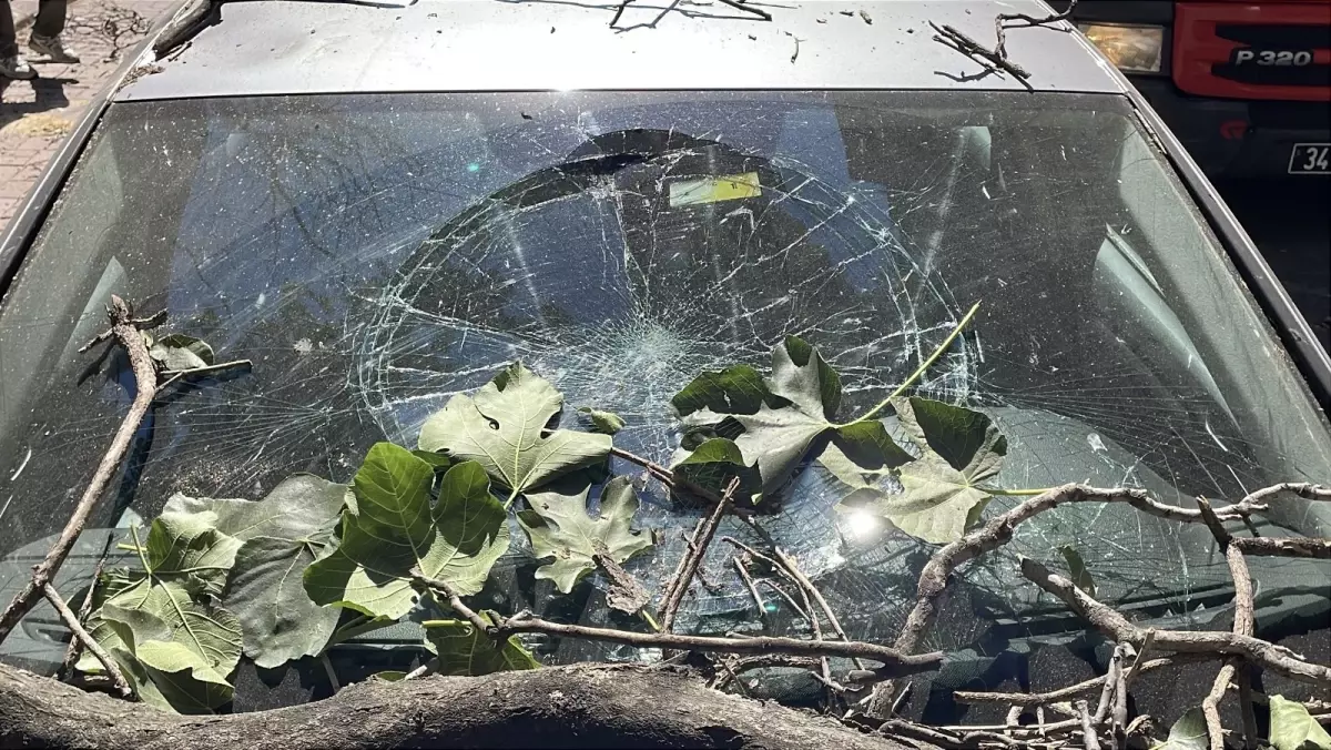 Şişli'de Kurumuş Ağaç Dalı Otomobilin Üzerine Düştü