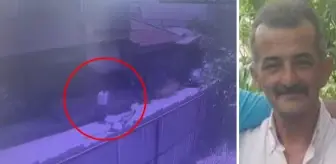 Sokakta yürürken 142 metre uzaklıktan ateşlenen havalı tüfek mermisiyle öldü
