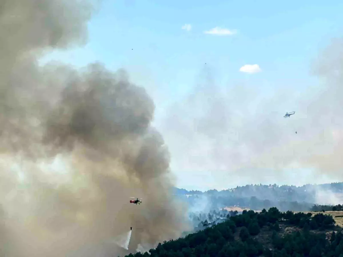 Uşak'ta Orman Yangını: Havadan ve Karadan Söndürme Çalışmaları Devam Ediyor
