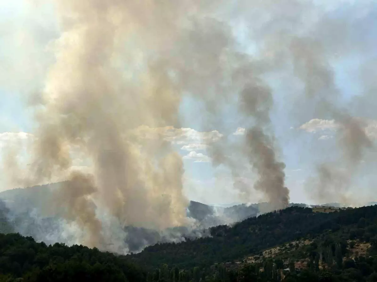 Uşak'taki Orman Yangınına Hava ve Kara Müdahelesi