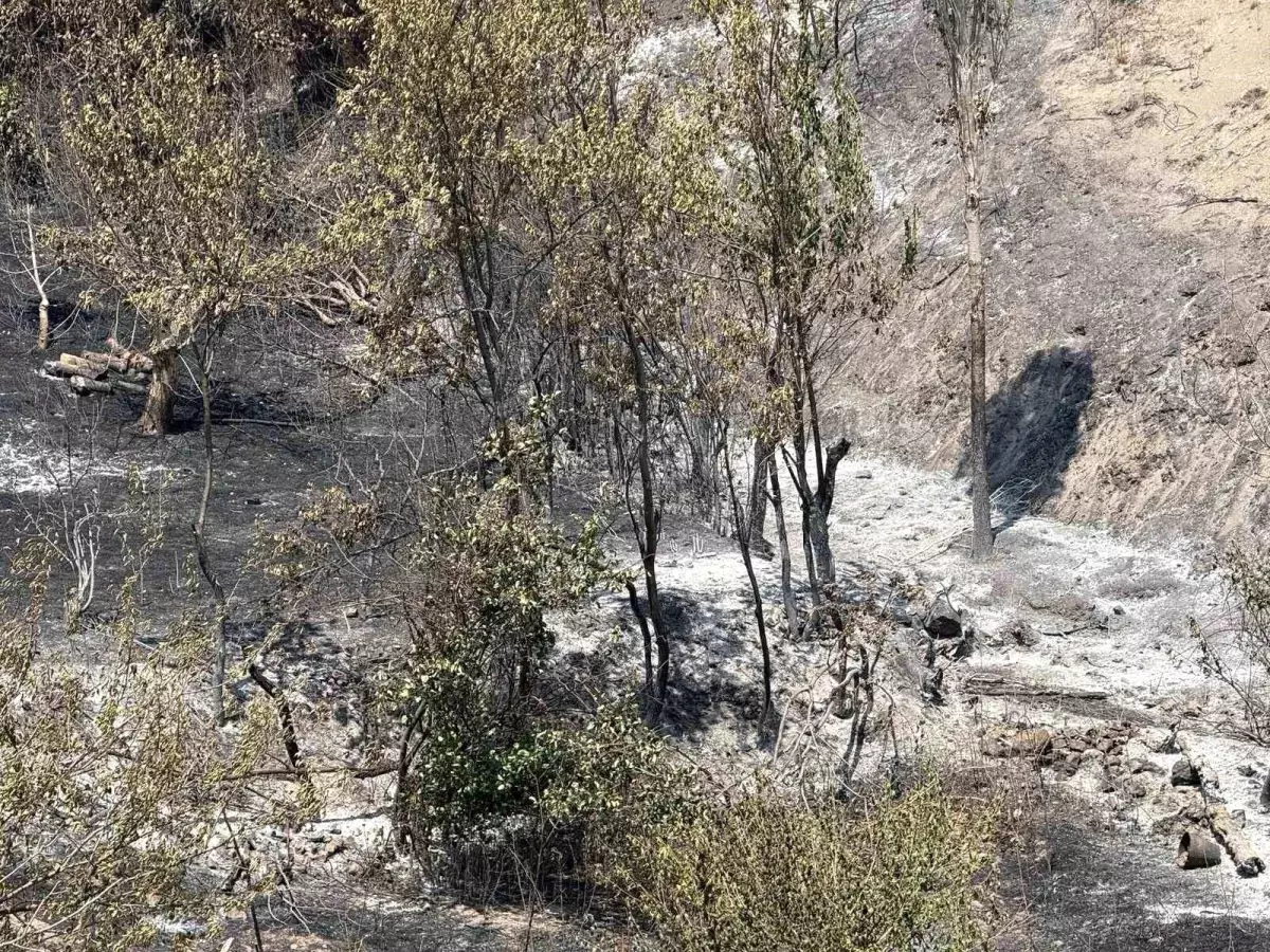 Sakarya'da Orman Yangını Kısmen Kontrol Altına Alındı