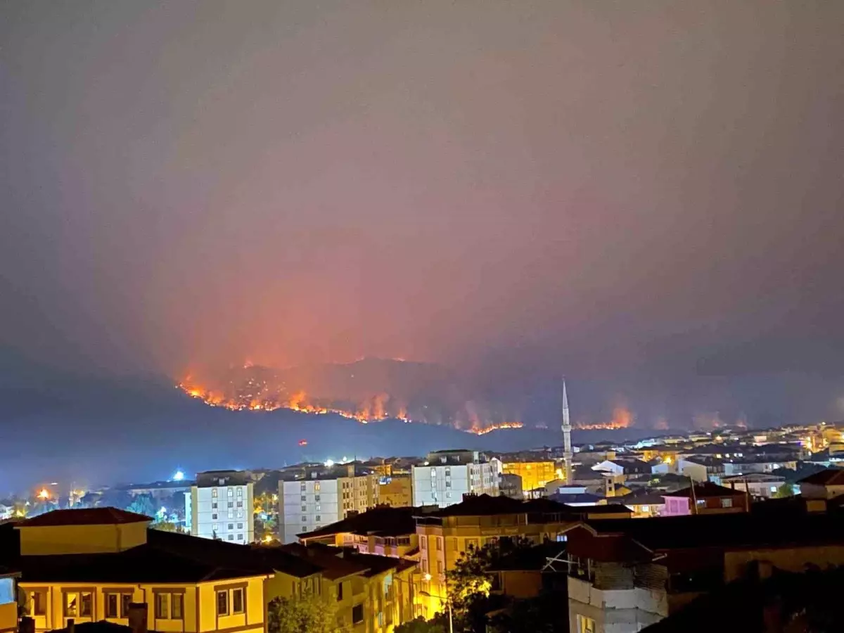Sakarya'da Orman Yangını: 4 Köy Boşaltıldı