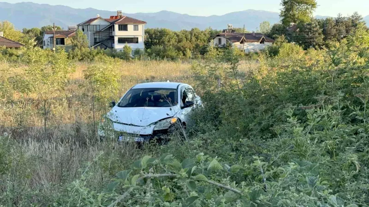 Düzce'de Otomobil Büyükbaş Hayvana Çarpmamak İçin Takla Attı
