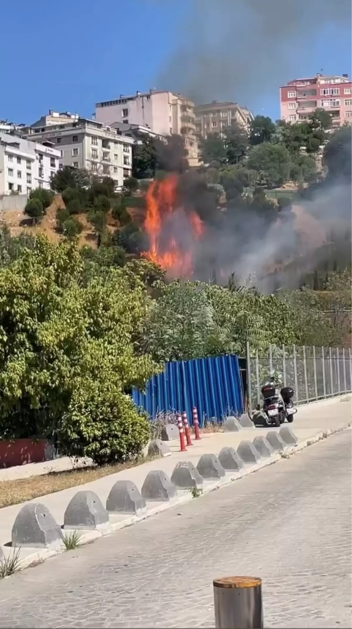 İstanbul Kağıthane'de ağaçlık alanda yangın