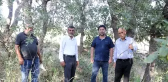Köylüler mezarlıkta vardiyalı nöbet tutuyor! Koparılması halinde 500 bin lira cezası var