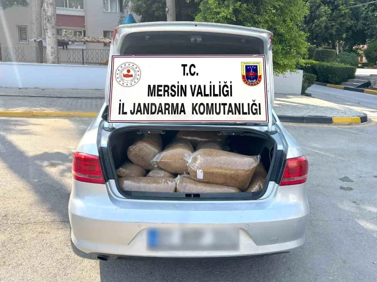 Mersin'de 100 Kilo Kaçak Tütün Ele Geçirildi