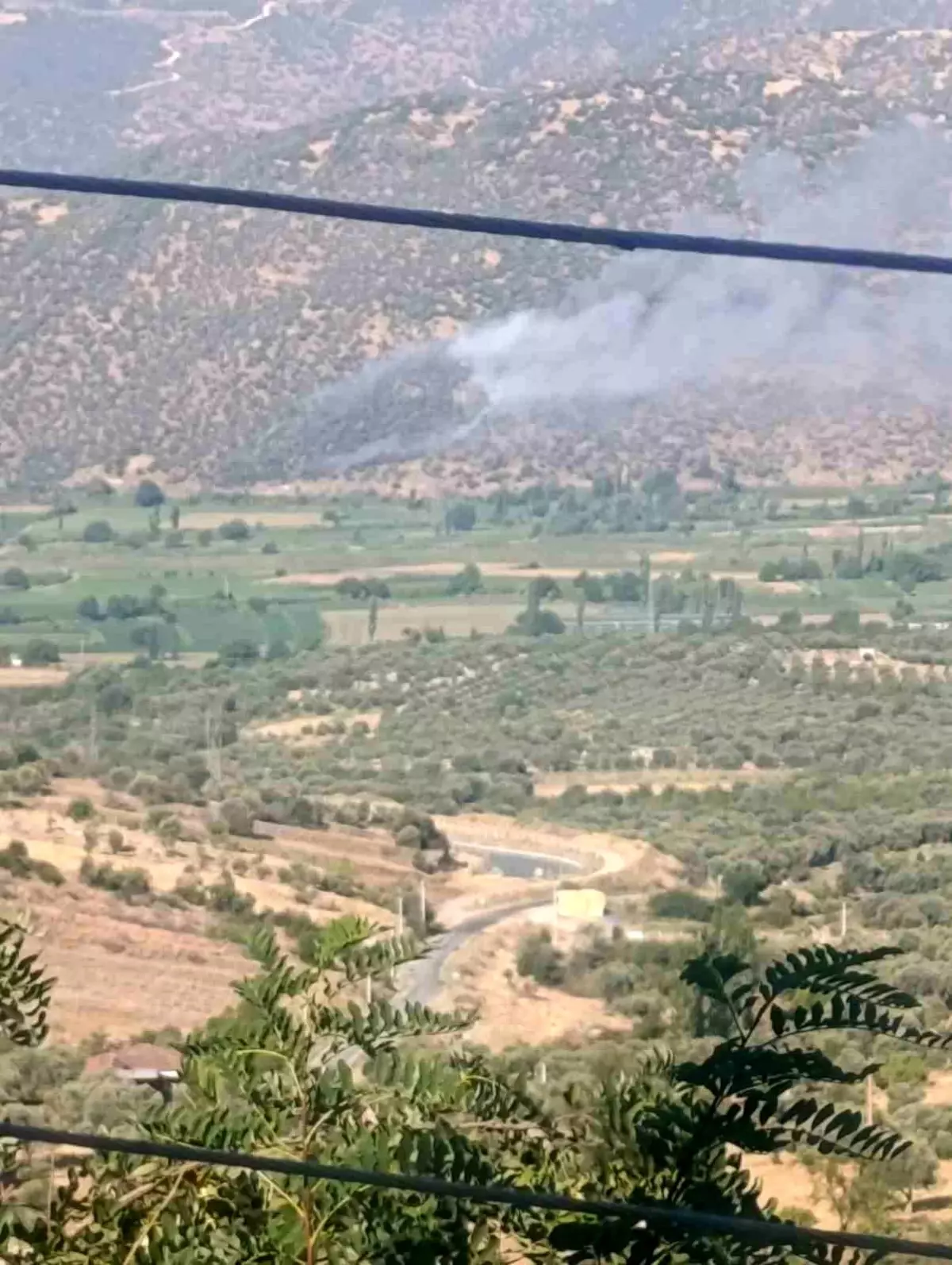 Aydın'da Makilik ve Zirai Alanda Yangın Çıktı