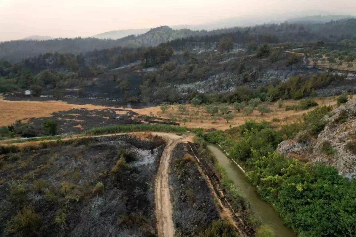 Sakarya'da Orman Yangını İkinci Günde Kontrol Altına Alınıyor
