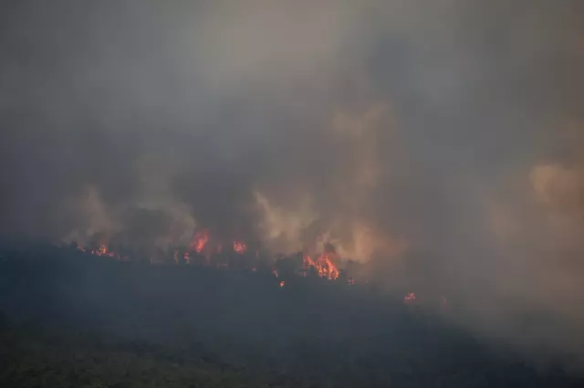 The forest fire that started yesterday in Sakarya spread to Bilecik