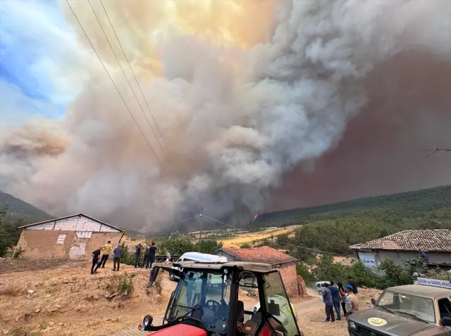 The forest fire that started yesterday in Sakarya spread to Bilecik