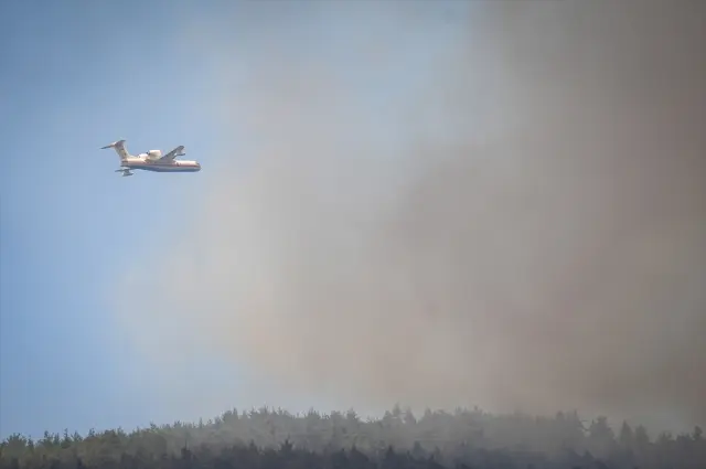 The forest fire that started yesterday in Sakarya spread to Bilecik