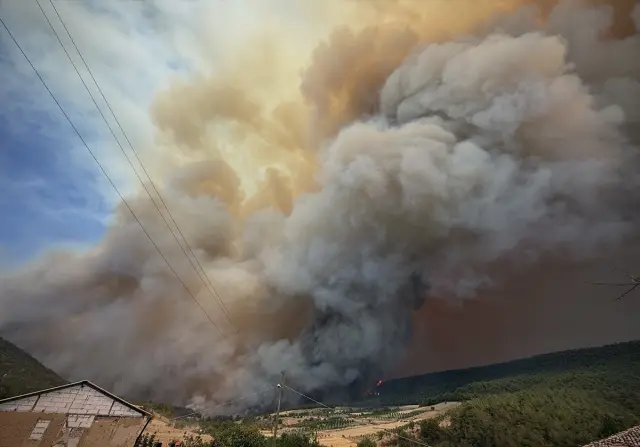 The forest fire that started yesterday in Sakarya spread to Bilecik