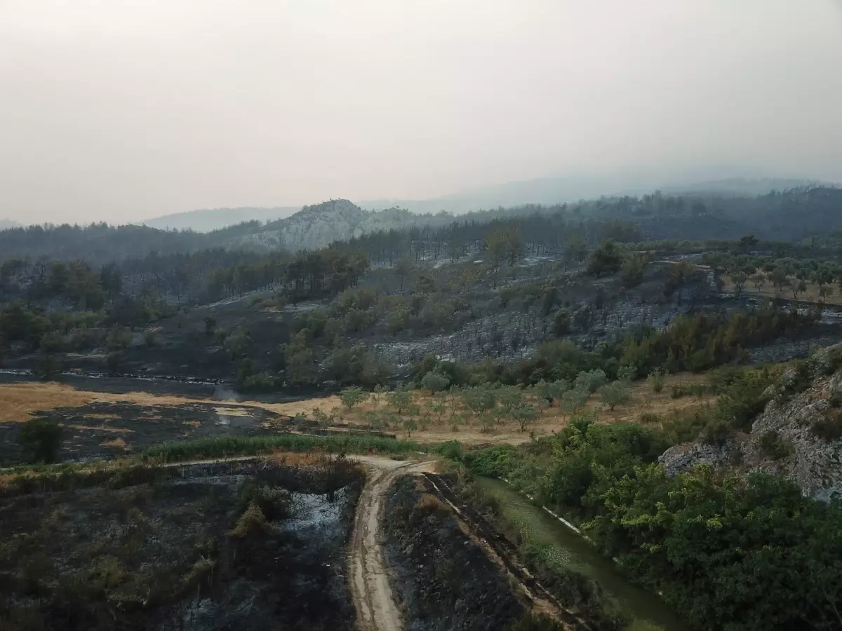 Geyve'de Orman Yangını Kontrol Altına Alınıyor
