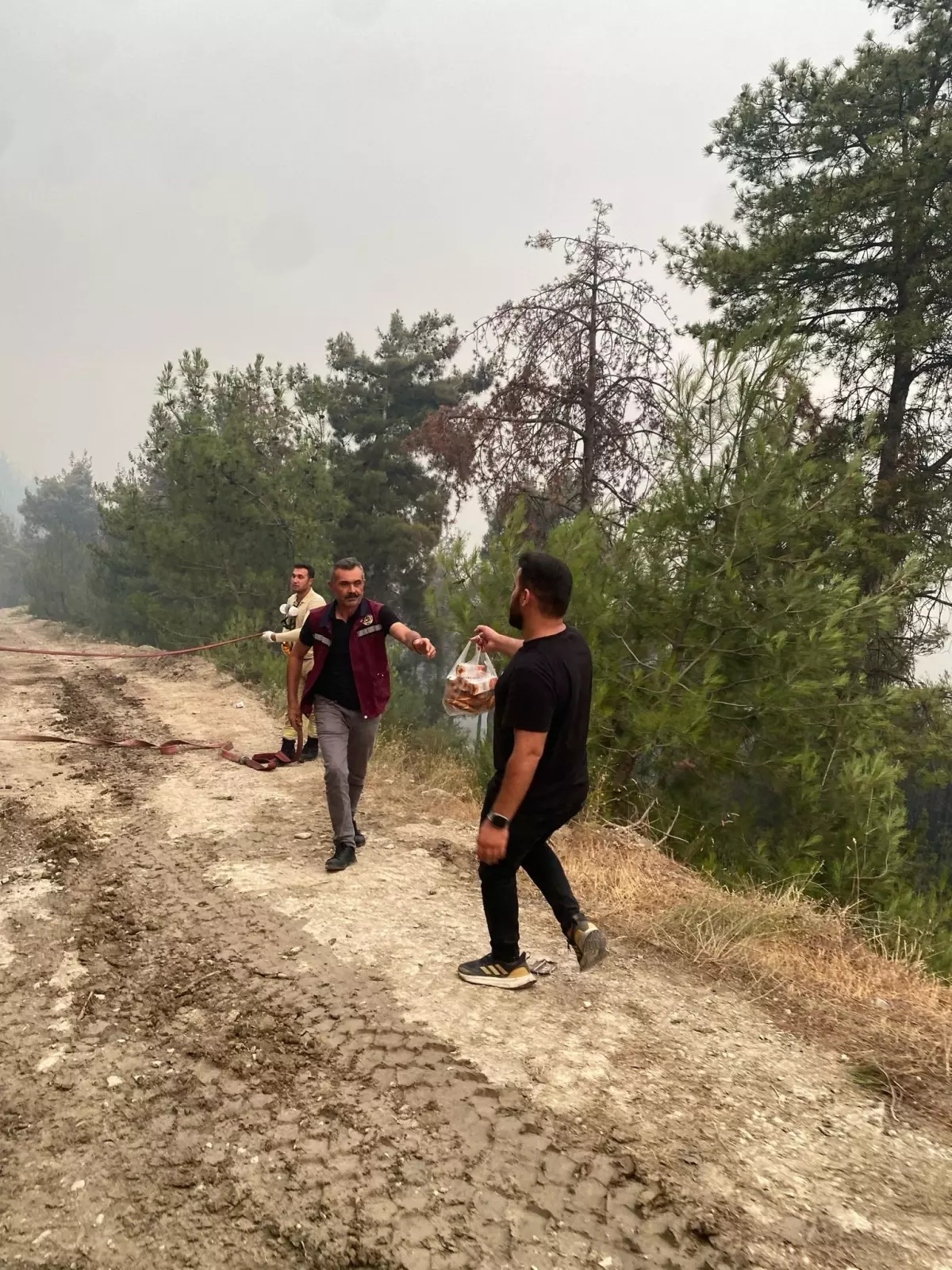Pamukova'dan Orman Yangınına Destek