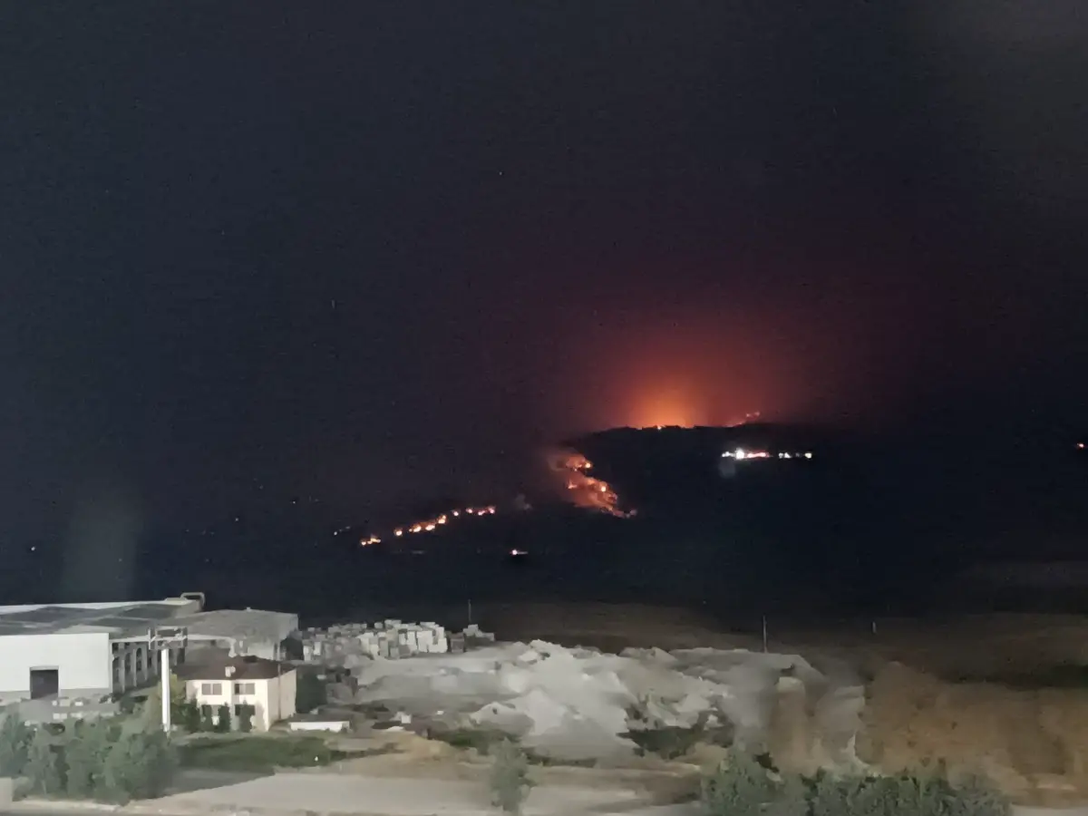 Sakarya'da Orman Yangını: Ekipler Seferber Oldu