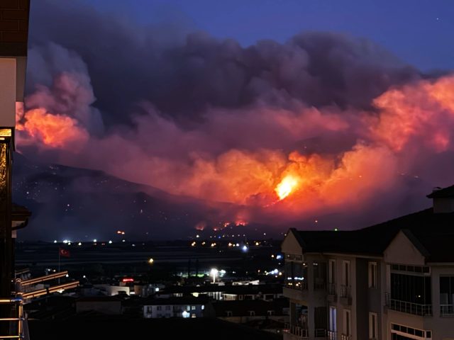 Sakarya'daki orman yangını tahliye edilen mahalleye sıçradı: Evler alev topuna döndü Sakarya'daki orman yangını tahliye edilen mahalleye sıçradı: Evler alev topuna döndü