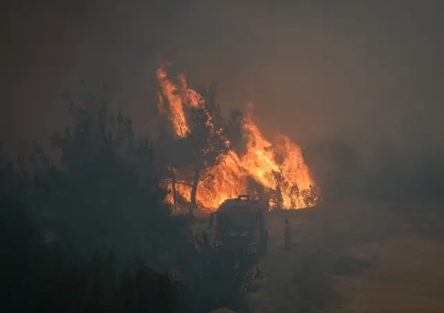 Forest fire in Sakarya and Bilecik: 4 evacuated