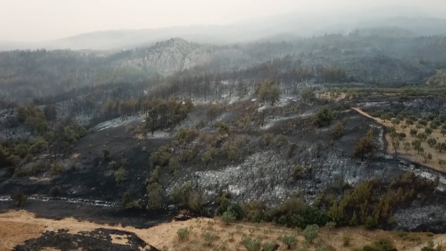 Sakarya yangını 15 saattir sürüyor! Alevlerin içinden yürekleri dağlayan çığlıklar Sakarya yangını 15 saattir sürüyor! Alevlerin içinden yürekleri dağlayan çığlıklar