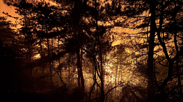 The Sakarya fire has been ongoing for 15 hours! Heart-wrenching screams from within the flames