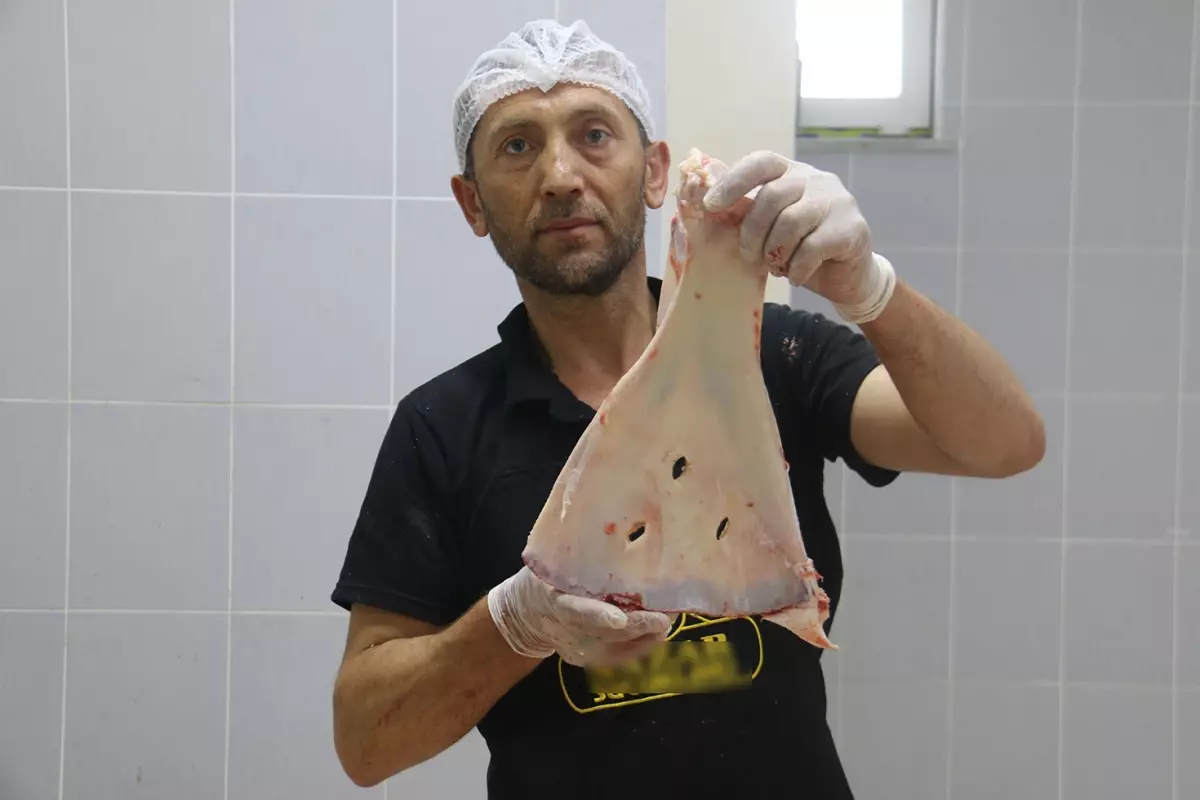 Selçuklu'dan kalan gelenek asırlardır sürdürülüyor, büyü yapılmasın diye kürek kemikleri kırılıyor
