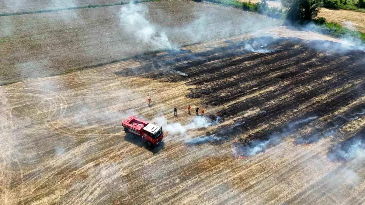 Sinop'ta Anız Yangını Korkuya Neden Oldu
