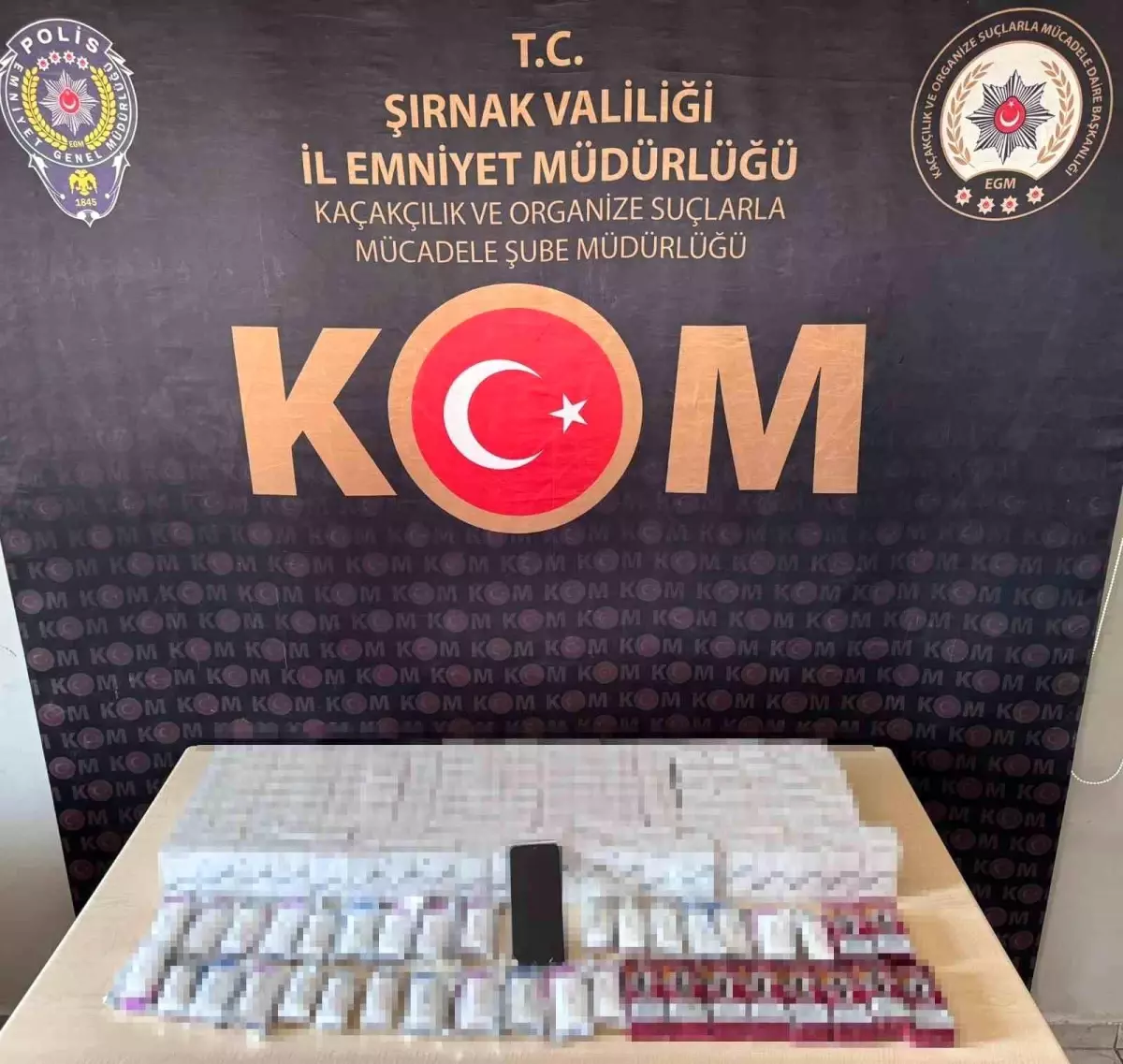 Şırnak'ta Kaçakçılık ve Narkotik Operasyonları: Bir Tutuklama