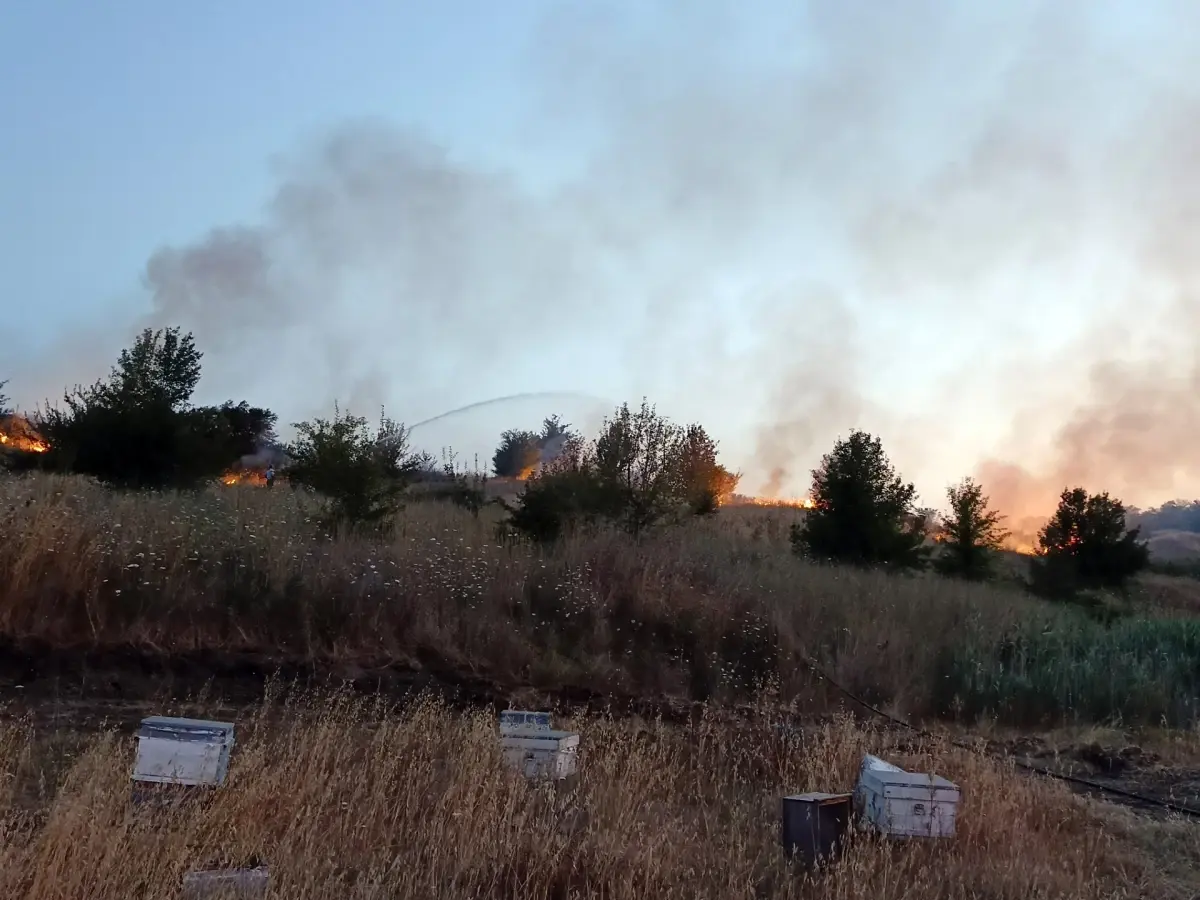 Tekirdağ'da Eski Kömür Ocağında Ot Yangını