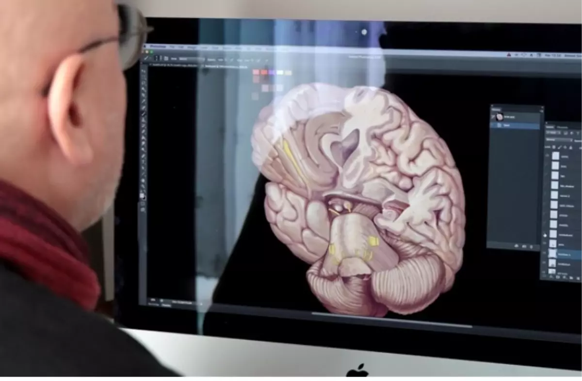 Tıp taban puanları 2025 kaç, Tıp kaçla kapattı, Tıp sıralaması geçen yıl kaçtı?