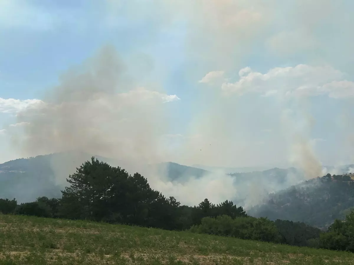 Uşak'ta Orman Yangını 19 Saat Sonra Kontrol Altına Alındı