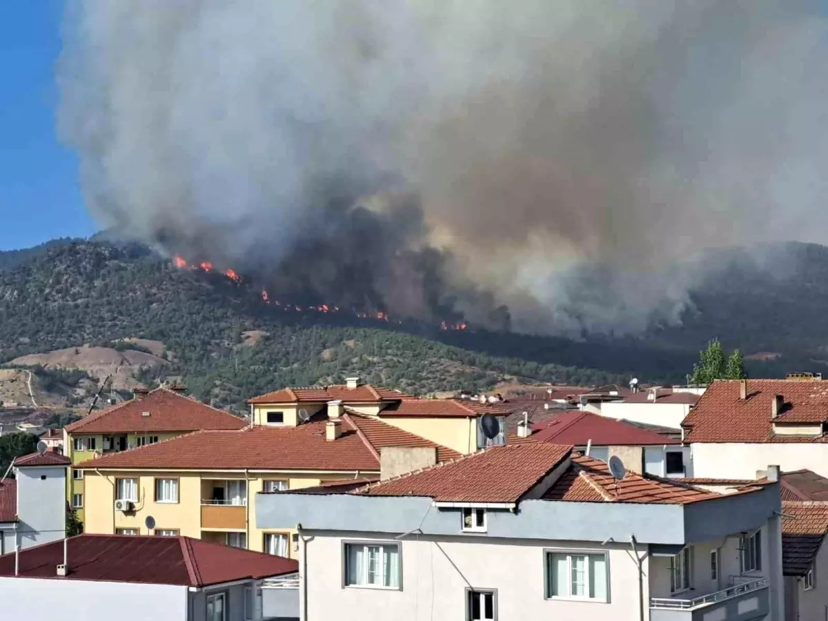 Bilecik'te Orman Yangını, 4 Köy Tahliye Edildi