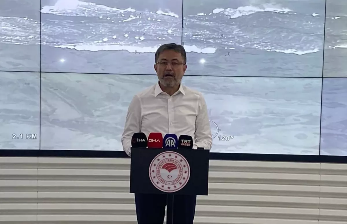 Bilecik ve Sakarya'daki Orman Yangınları Kontrol Altında