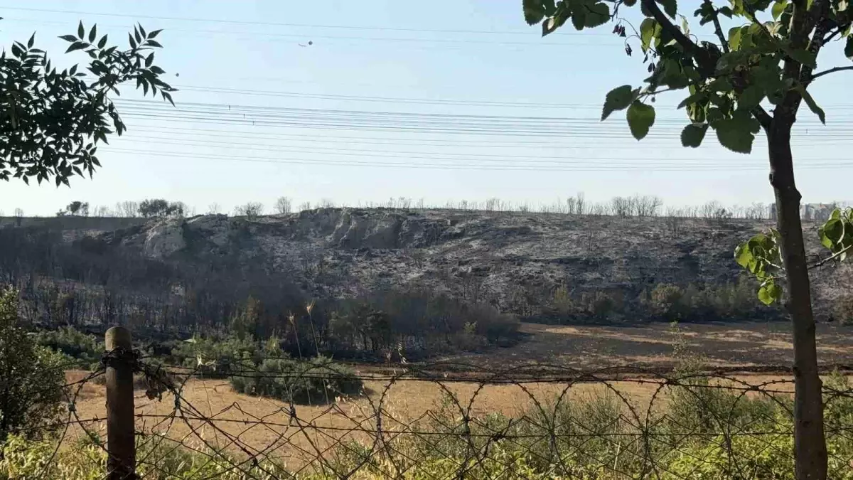 Başakşehir'de Konutlara Yakın Çalılık Alanda Yangın Çıktı