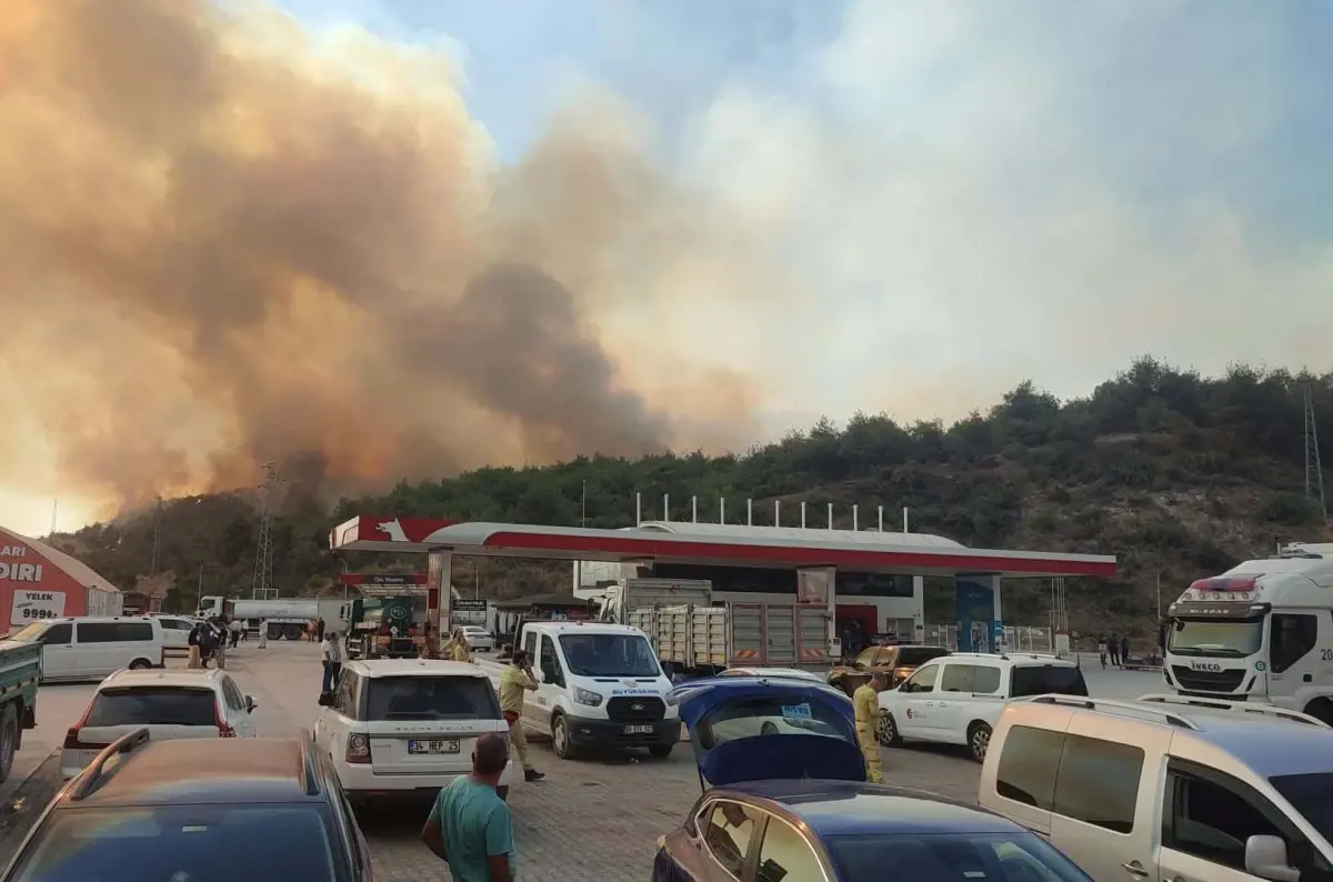 Sakarya ve Bilecik'teki Orman Yangınına Müdahale Devam Ediyor