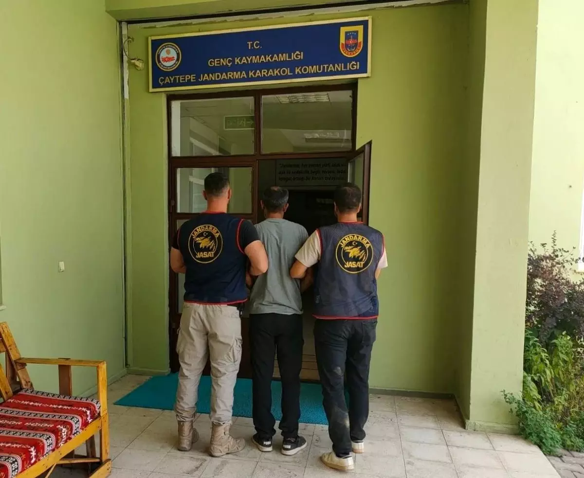 Bingöl'de Aranan İki Şahıs JASAT Ekipleri Tarafından Yakalandı