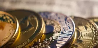 BlackRock portföyündeki bu token herkesi şaşırttı