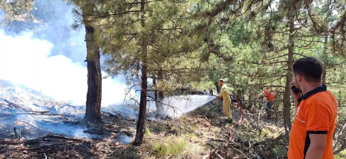 Bolu'da Orman Yangını Kontrol Altına Alındı