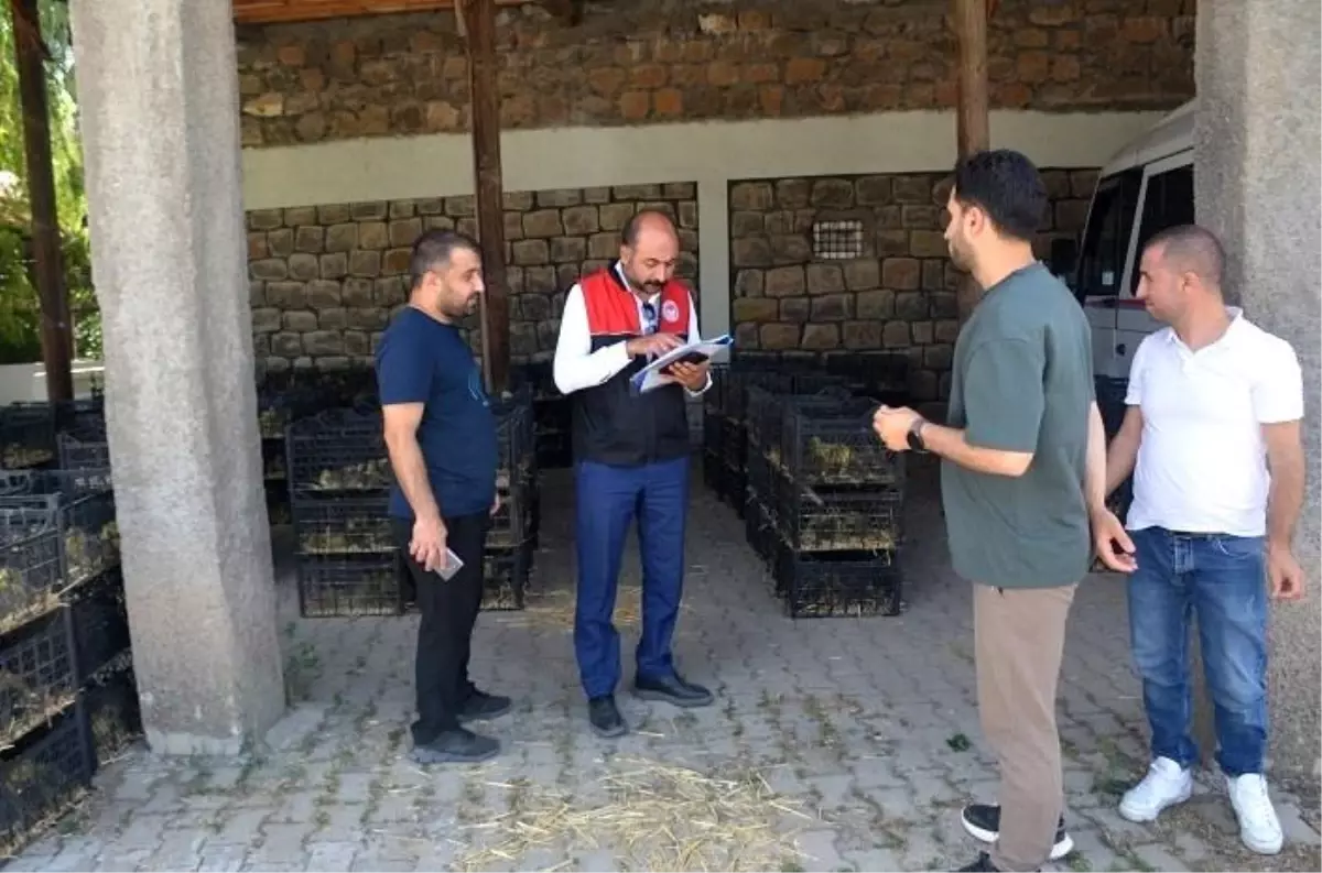 Muş'ta Kaz Yetiştiriciliği Projesi İle Kırsal Kalkınma Hedefleniyor