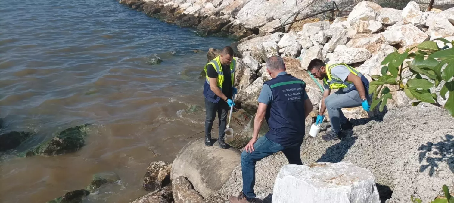 Yalova Belediyesi'ne Deniz Kirliliğinden 1 Milyon TL Ceza