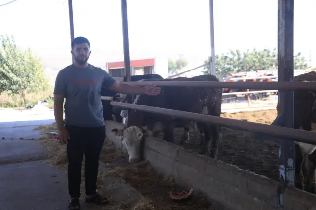 Angus alarm in Hatay!: If you see them, run away immediately