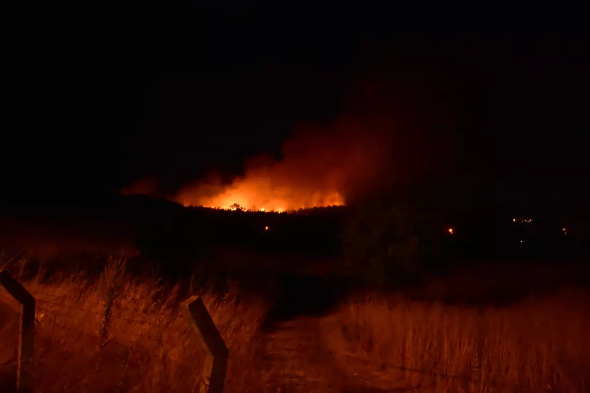 İzmir'in Urla İlçesinde Yangın: Havadan ve Karadan Mücadele Devam Ediyor